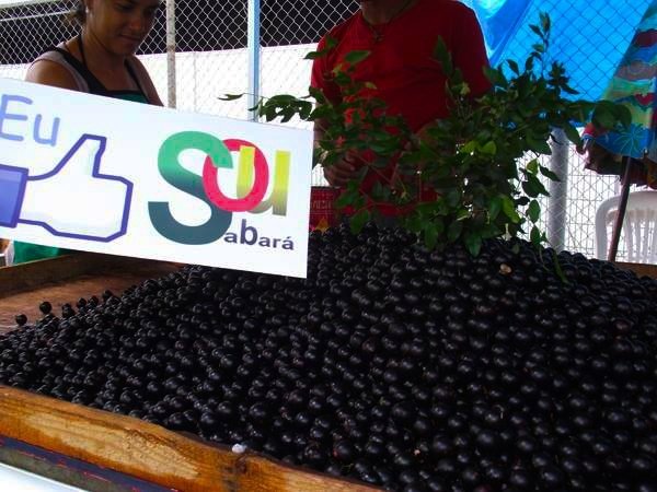 Veja a programação do Festival da Jabuticaba e da Feira de Artesanato 2014