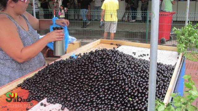 37º Festival de Jabuticaba de Sabará promete delícias e diversão em Novembro