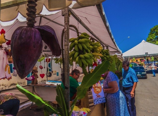 Vem aí o 9º Festival da Banana de Ravena