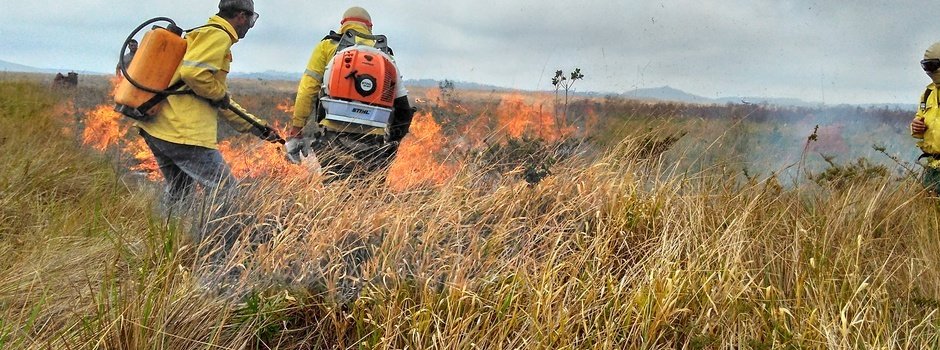 Governo abre edital para contratação de brigadistas