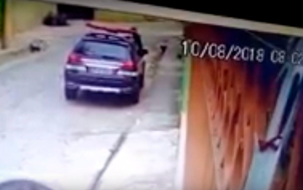 Jovem se entrega após pichar viatura da Polícia Civil em frente de delegacia em Sabará