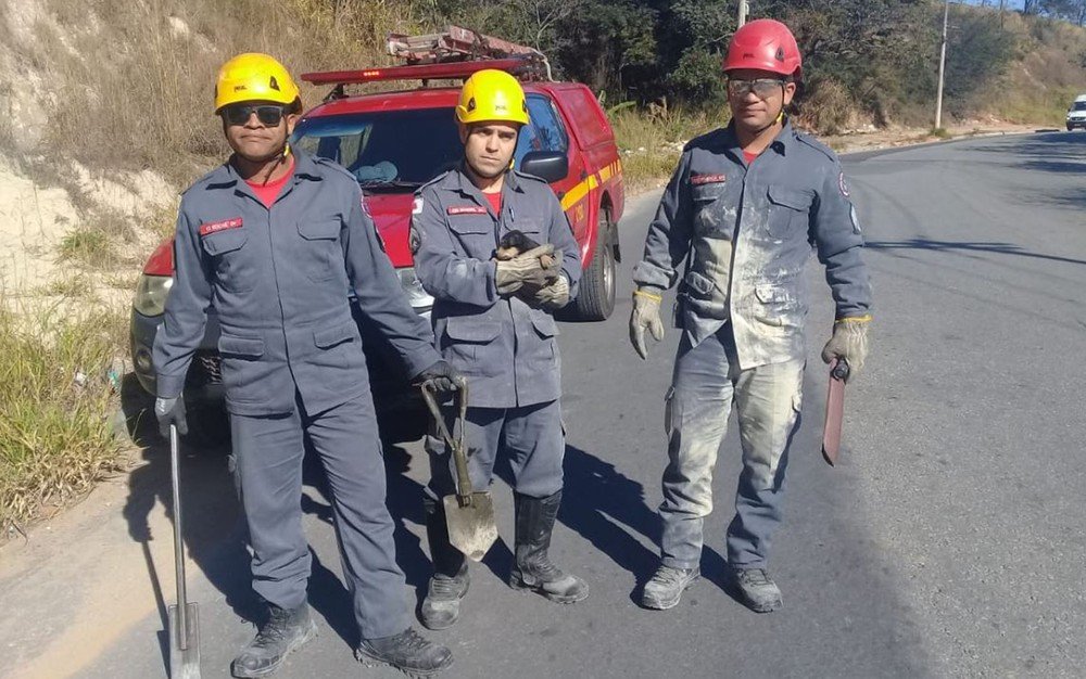 Bombeiros resgatam filhote de cachorro que caiu em vala em Sabará
