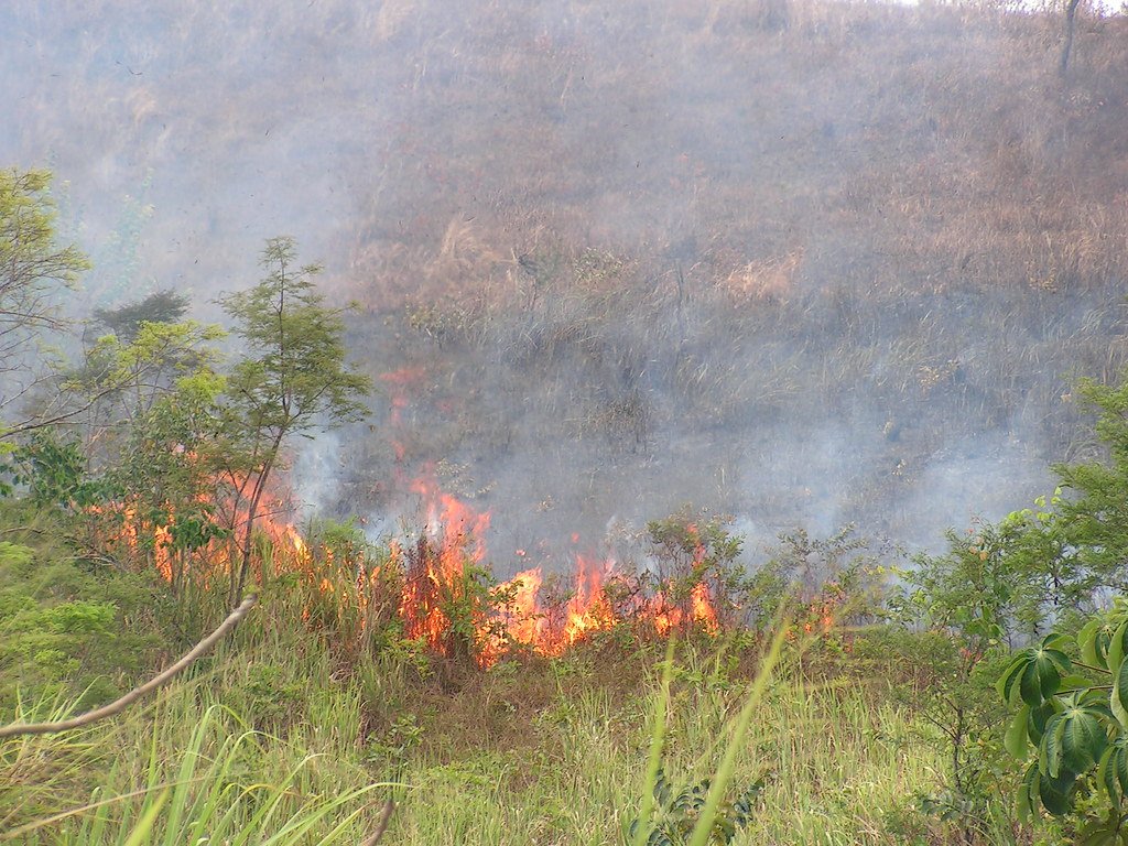 Mais de 200 pessoas envolvidas em incêndios foram detidas em Minas Gerais neste ano