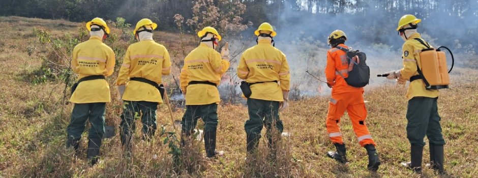 Corpo de Bombeiros abre 280 vagas temporárias para brigadistas florestais
