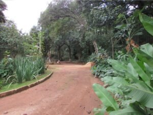 Foto: Prefeitura de Sabará