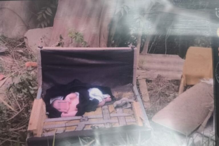 Cachorros ajudam a salvar bebê abandonado próximo à divisa de Sabará com BH
